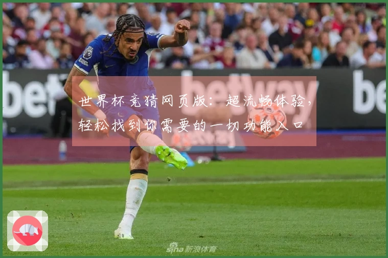 世界杯竞猜网页版：超流畅体验，轻松找到你需要的一切功能入口