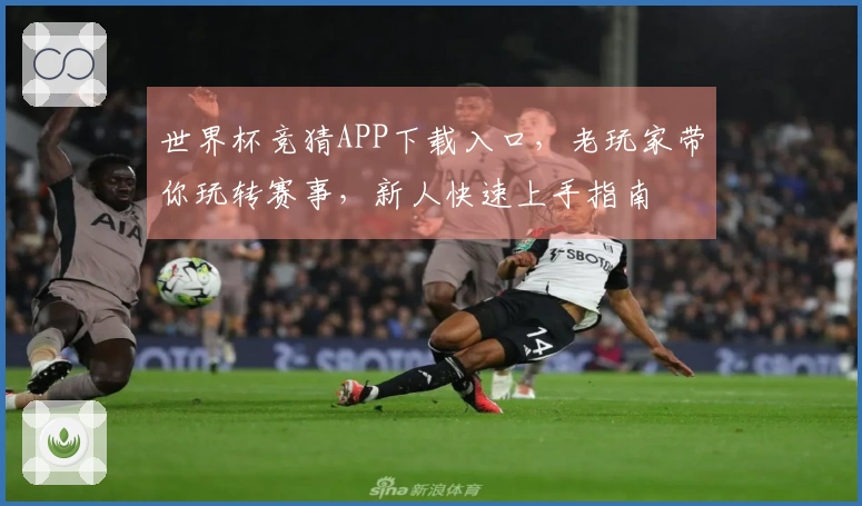 世界杯竞猜APP下载入口，老玩家带你玩转赛事，新人快速上手指南