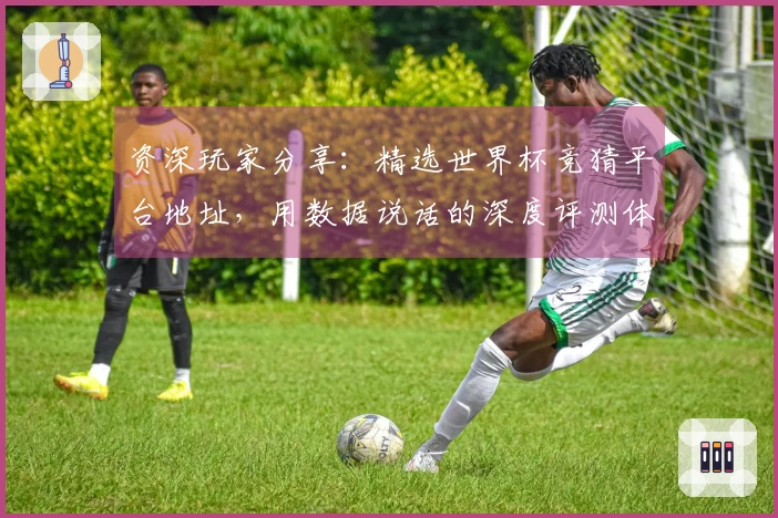 资深玩家分享：精选世界杯竞猜平台地址，用数据说话的深度评测体验
