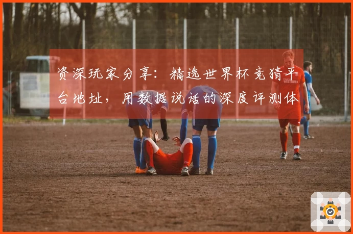 资深玩家分享：精选世界杯竞猜平台地址，用数据说话的深度评测体验