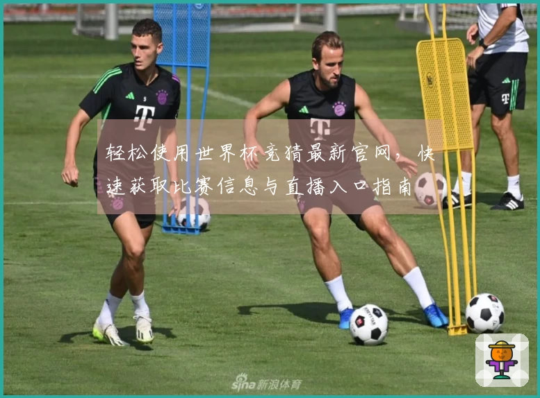 轻松使用世界杯竞猜最新官网，快速获取比赛信息与直播入口指南