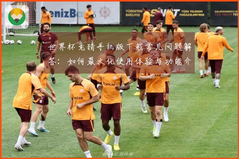 世界杯竞猜手机版下载常见问题解答：如何最大化使用体验与功能介绍