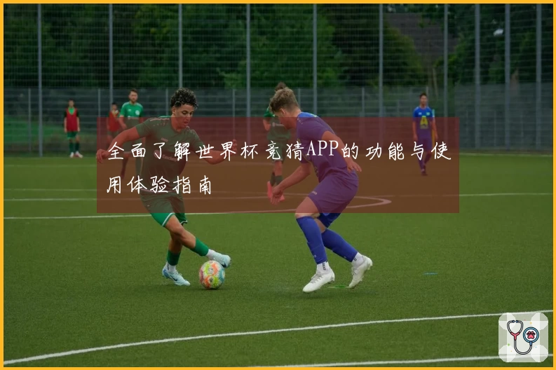 全面了解世界杯竞猜APP的功能与使用体验指南